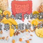 子どもの腸内細菌